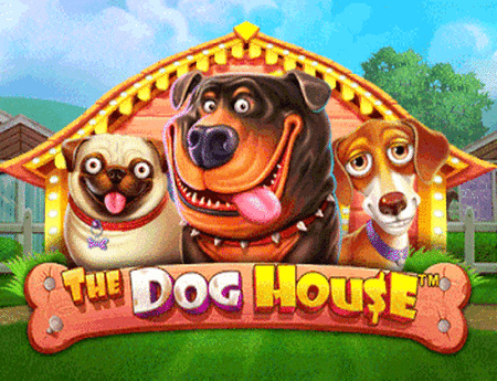 The Dog House - Dog or Alive
